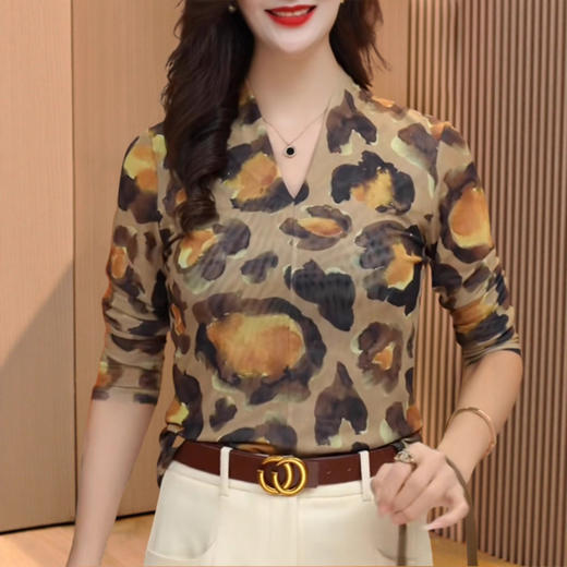 春季高端网纱时尚洋气显瘦豹纹V领打底衫女2025新款设计感修身T恤 商品图1