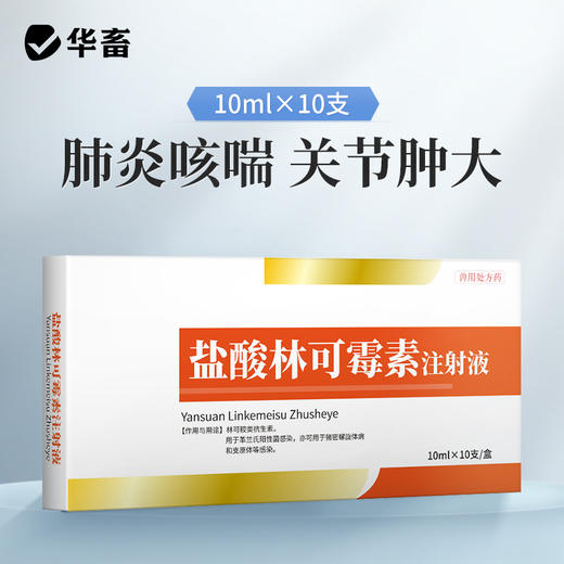 【社群专享】华畜兽用 10%盐酸林可霉素注射液10支 链球菌乳腺炎支原体感染 商品图0