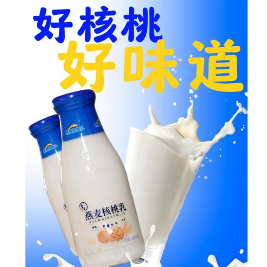 布扎克·新疆和田燕麦核桃乳  300毫升*5瓶  核桃香混合燕麦浓醇 营养丰富好吸收 商品图1