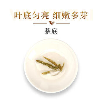 吴裕泰茉莉花茶 茉莉金尖 浓香型特种50g 七窨高芽回甘 袋装 /水饮冲调 /茗茶 /茉莉花茶 商品图5