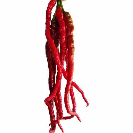 安顺普定【神划新鲜鸡爪辣红辣椒新鲜发货5斤】新鲜鸡爪，精选辣椒，特制酱料。口感鲜香，辣度适中。简单易做 商品图3