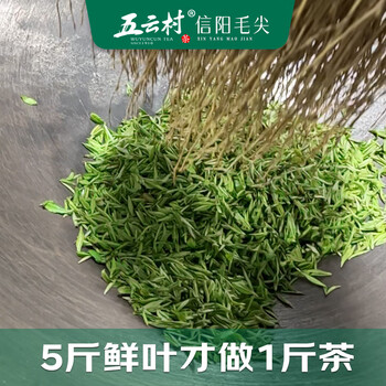 五云村新茶信阳毛尖500g茶叶绿茶特级春茶2罐共1斤自己喝带礼袋盒 /水饮冲调 /茗茶 /绿茶