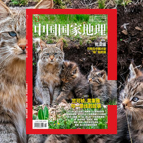 《中国国家地理》202508  荒漠猫  竺可桢 黄秉维 百山祖 帝都蘑菇图鉴 潮菜海洋菜系 霞浦海上田园