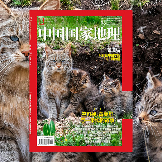 《中国国家地理》202508  荒漠猫  竺可桢 黄秉维 百山祖 帝都蘑菇图鉴 潮菜海洋菜系 霞浦海上田园 商品图0
