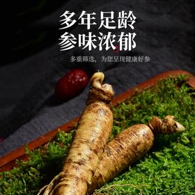 【长白山·鲜人参】新鲜采摘  清脆爽口 冬季养生必备  吃法多样 煲汤 喝茶 干吃
