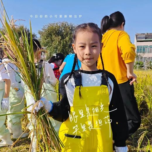 【御稻少年行·半日营】京西稻丰收季，割御稻+制作稻谷花束+DIY草帽+扎稻草人+田间品粥+参观现代工艺生产线，累计2小时公益时长 商品图1