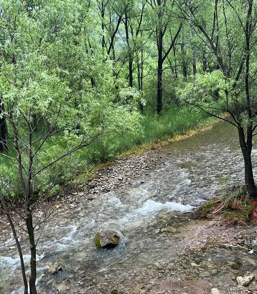 山野大玩家｜百里画廊8公里穿越 徒个快乐 乐在途中 商品图3