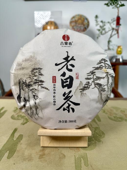 【老白茶】古寨春福鼎白茶破价清仓，本款福鼎白茶属于寿眉里的 最高等级！纯日晒纯福鼎白茶，懂行的一喝就懂，300克/饼 商品图3