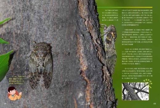 《博物大发现：找找看》普通版、礼盒版 商品图5