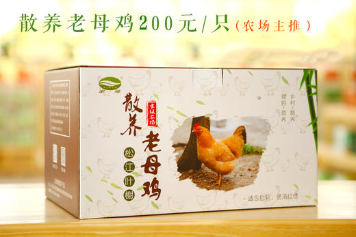 家绿散养鸡 现抓 现杀 保鲜 顺丰配送到家 商品图2