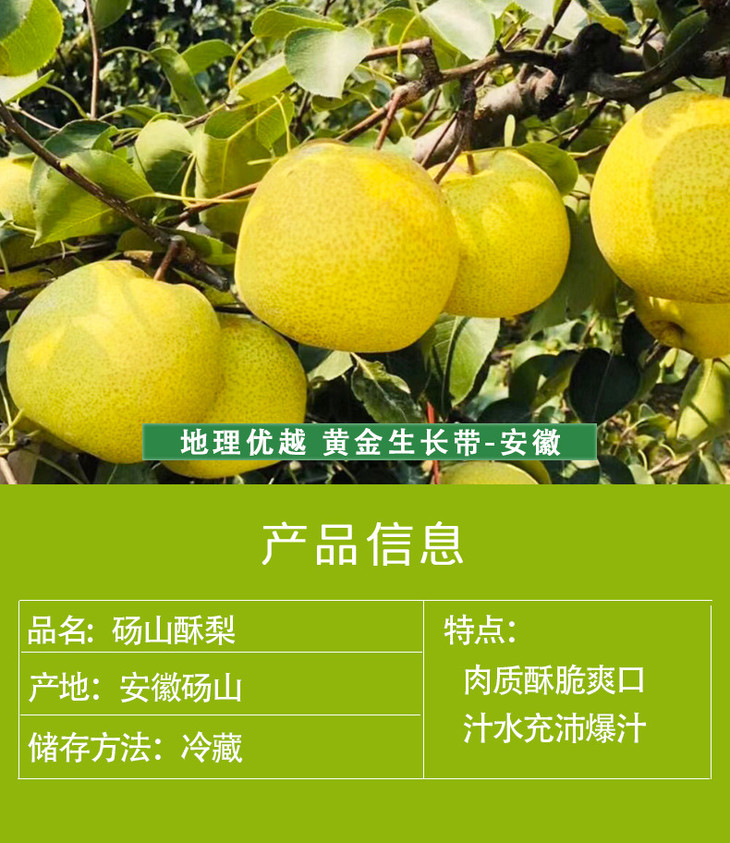 砀山酥梨详情页_02