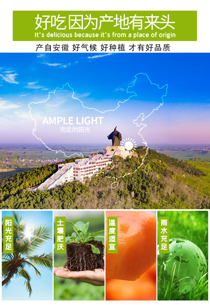 砀山酥梨详情页_04