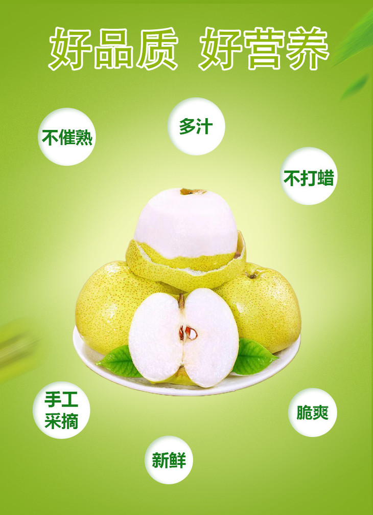 砀山酥梨详情页_06