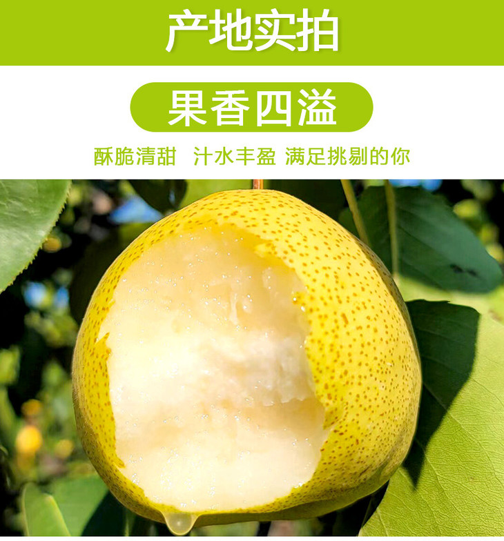 砀山酥梨详情页_08