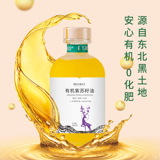 北纬纯净食品|38°有机紫苏籽油低温物理压榨头道油凉拌食用油250ml 商品图2