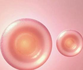 卵泡不到 18mm 就排卵？这个硬核指标才是好孕关键！