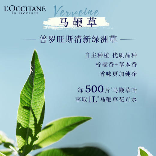 欧舒丹清新马鞭草香氛沐浴啫喱250ML 商品图1