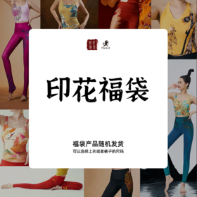 印花-壁虎福袋A