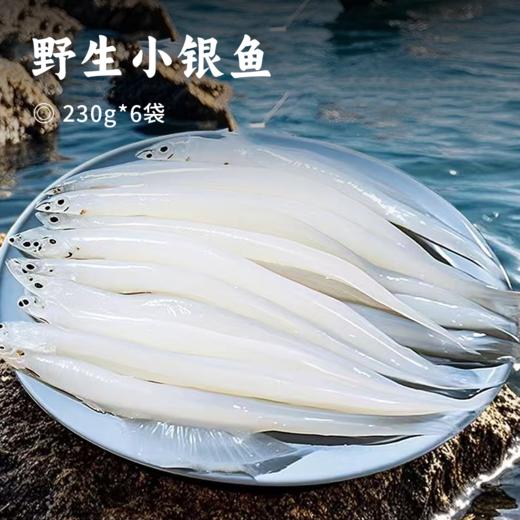野生小银鱼 | 条条精选 新鲜捕捞速冻 鱼眼明亮鱼身完整 鱼体洁白如玉 肉质饱满鲜嫩 无骨无刺营养丰富 商品图0
