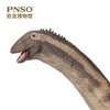 PNSO恐龙博物馆香港龙回归1:45科学艺术模型 商品缩略图3