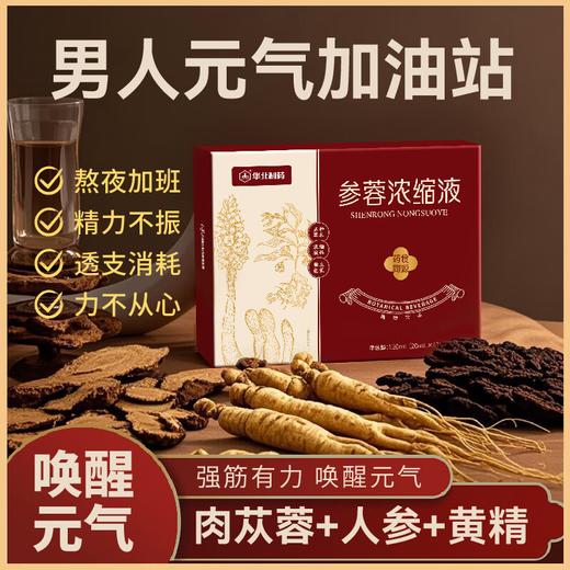 参蓉浓缩液  滋补养生 买二送一 商品图3