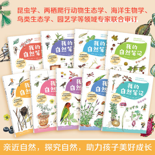 我的自然笔记1+2辑 让孩子探索世界的自然科普书科学绘本 商品图1