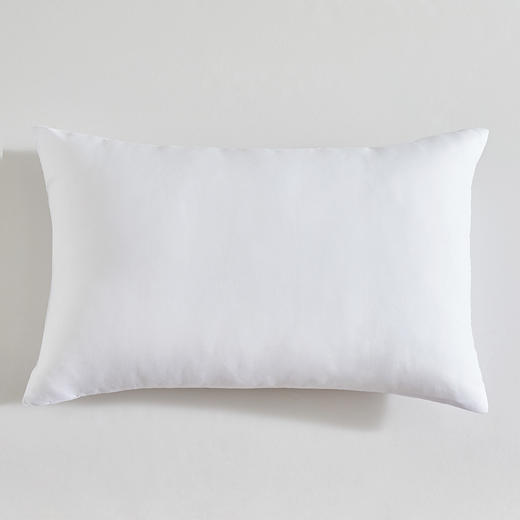 罗莱T A类防螨抗菌对枕 47×73cm 商品图3