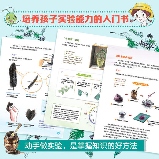 我的自然笔记1+2辑 让孩子探索世界的自然科普书科学绘本 商品图4