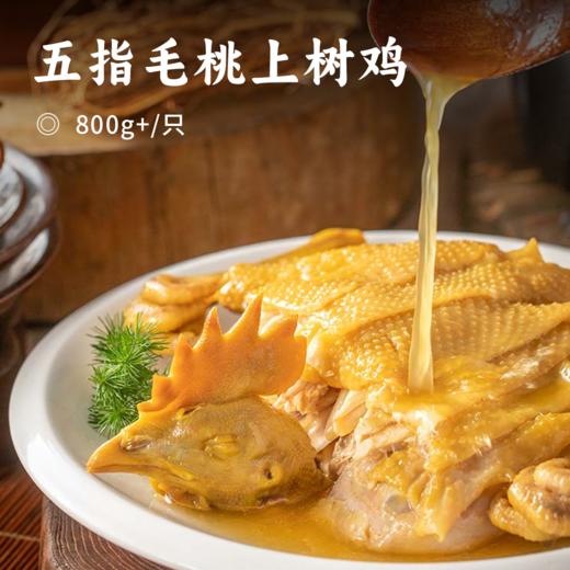 五指毛桃上树鸡 | 林间散养300天  吃五指毛桃长大  多种膳养卤汁浸泡烤制 复热即食 肉质不软烂皮脆  撕开爆汁自带椰香回甘 商品图0