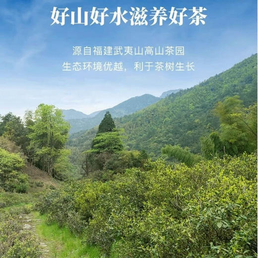 八马茶业·马到成功·正山小种192g礼盒装（4g*48包） 商品图4