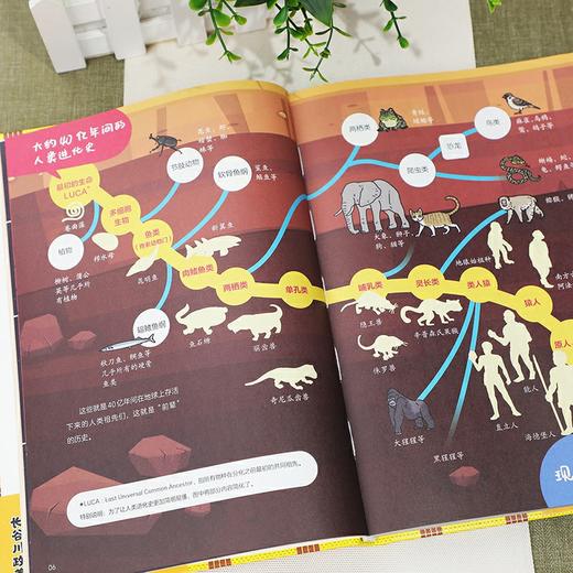 《进击的人类》精装两册  7-14岁  40亿年进化史、5大章、18个时间点、16个人类祖先的励志故事  了解人类进化 启发生存智慧 让孩子更懂生存之道  国际知名进化生物学家长谷川政美漫画新作 商品图5