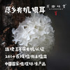 原乡有机雪耳|银耳（成都仓库-顺丰快递） | 35g/罐，来自四川巴中，生产者：原乡食用菌合作社【原乡自产】 商品缩略图0