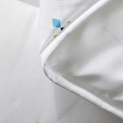 罗莱T 防螨抗菌春秋被 200×230cm 商品图4