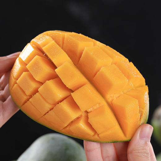 【四川攀枝花凯特芒果】果肉肥厚 香甜爽口 商品图2