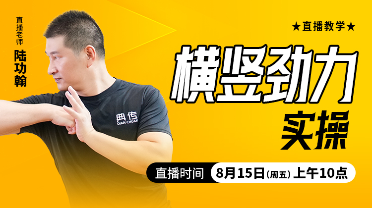 横竖劲力实操 ——直播教学（陆师亲授）
