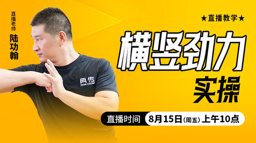 横竖劲力实操 ——直播教学（陆师亲授） 商品图0