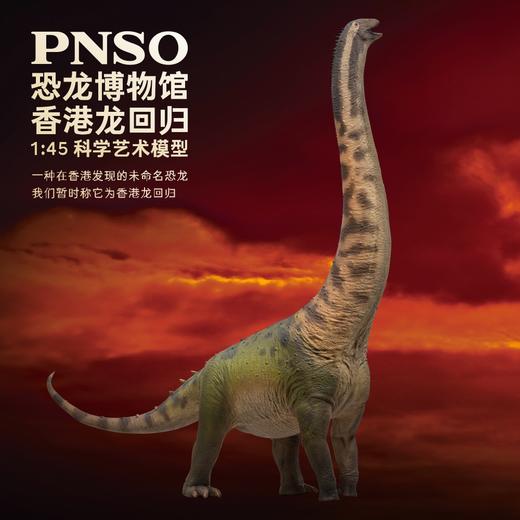 PNSO恐龙博物馆香港龙回归1:45科学艺术模型 商品图0