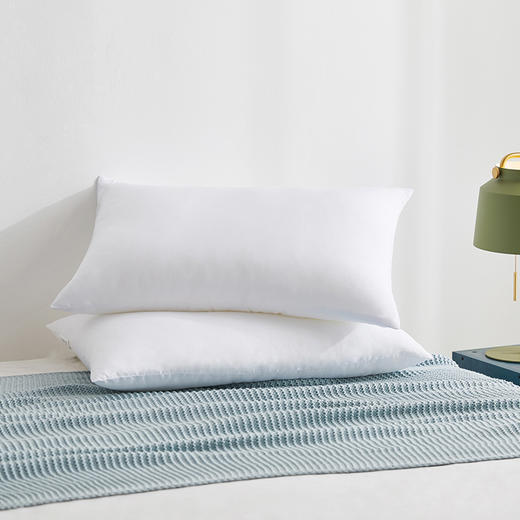 罗莱T 制对枕  47×73cm 商品图8