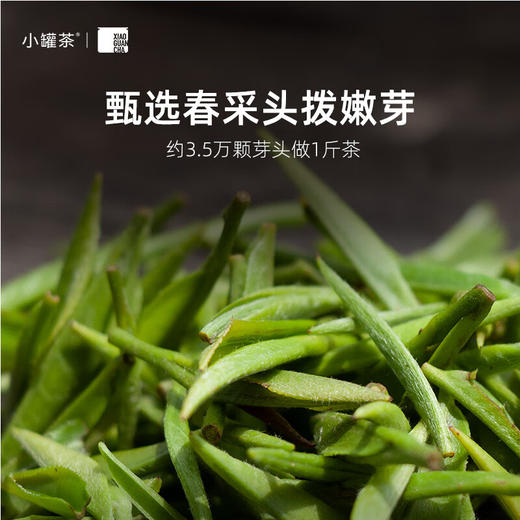 小罐茶 金罐10罐金骏眉茶（10x4g）【LXGWZQ5.0】 商品图8