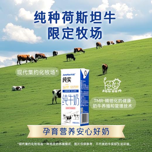 均瑶纯实纯牛奶3.6g优质乳蛋白 200mL/瓶 商品图4