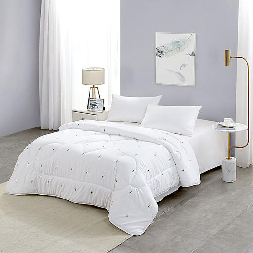 罗莱T 防螨抗菌春秋被 200×230cm 商品图0