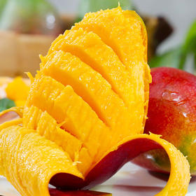 【四川攀枝花彩虹芒】新鲜甜糯大芒果 当季热带水果