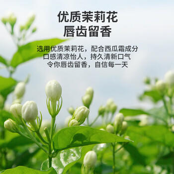 三金西瓜霜牙膏120g 护龈清新口气护龈健齿牙膏 /个人护理 /口腔护理 /牙膏 商品图1