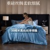 重磅真丝30姆桑蚕丝真丝三四件套双面丝绸裸睡被套冰丝天丝春夏秋 商品缩略图0