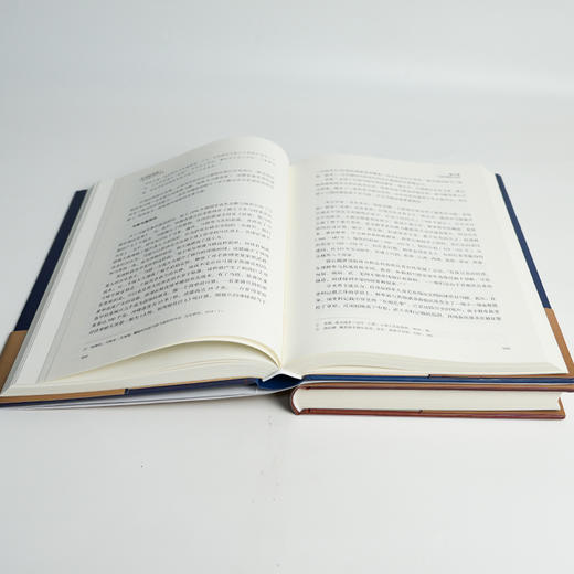 黄漫《历史的逻辑》（全2册） 商品图9