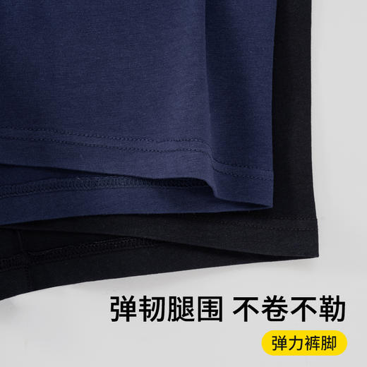 I'd爱帝男士内裤3条装棉氨抑菌亲肤弹力腰筋平角裤 商品图4