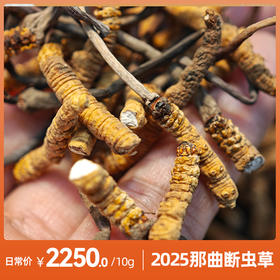 苗家圆圆那曲冬虫夏草断虫草 正宗那曲虫草滋补珍品 今年干货自用首选 10g/30g/50g/100g 顺丰包邮
