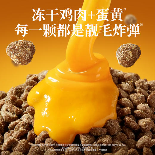 新品【多肉鲜美粮】7重美毛成分  冻干鸡肉+蛋黄 添加蔓越莓和蓝莓 帮助呵护泌尿健康 鲜肉酶解技术 商品图1