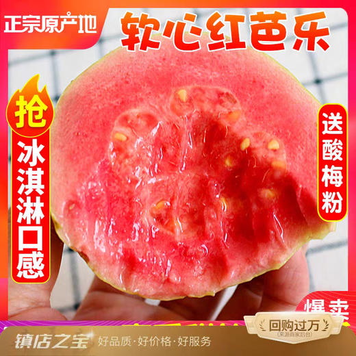 礼盒装！京东直达！【软心奶油芭乐，像冰淇淋般细腻丝滑~】广东红心白心芭乐果番石榴 当季水果5斤 新鲜水果 软糯柔滑的果肉 香甜美味让人垂涎欲滴-QB 商品图0