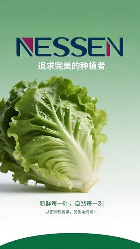 2026年4月-草莓检测报告（嵩明）